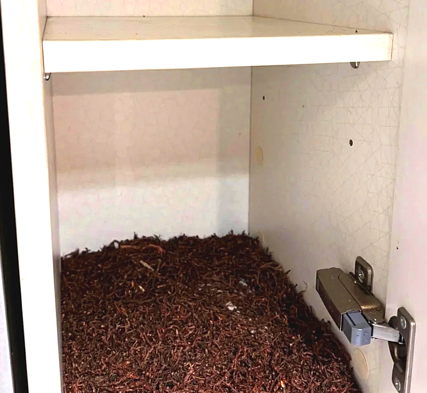 好东西，鸡枞菌菇，可以按黄金价格卖