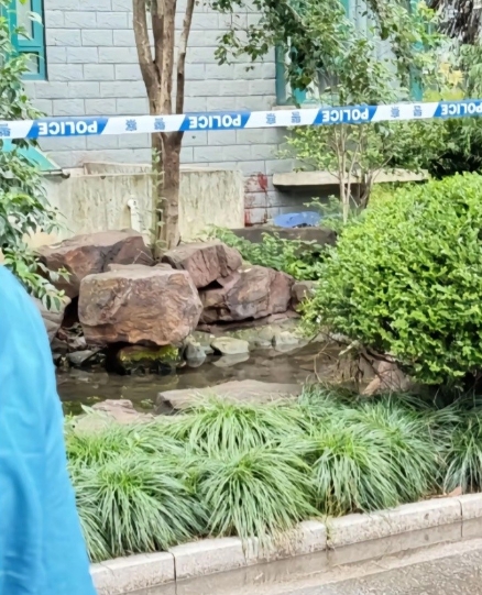 痛心！高三学子成绩不理想上不了清北想不开去世了！
6月11日，上海七宝中学一位学