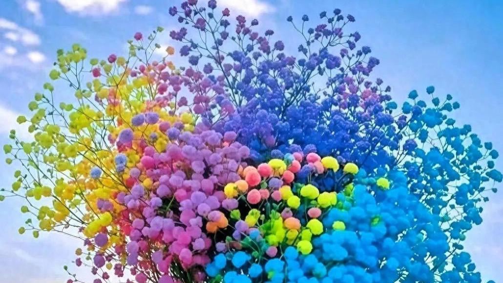 与贵人同行，心怀感恩，加倍珍惜，共赴远方