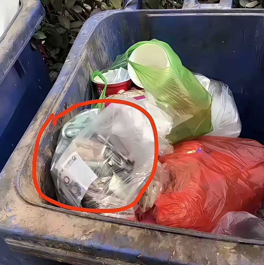 起猛了，垃圾箱里的意外发现，这钱能捡吗？