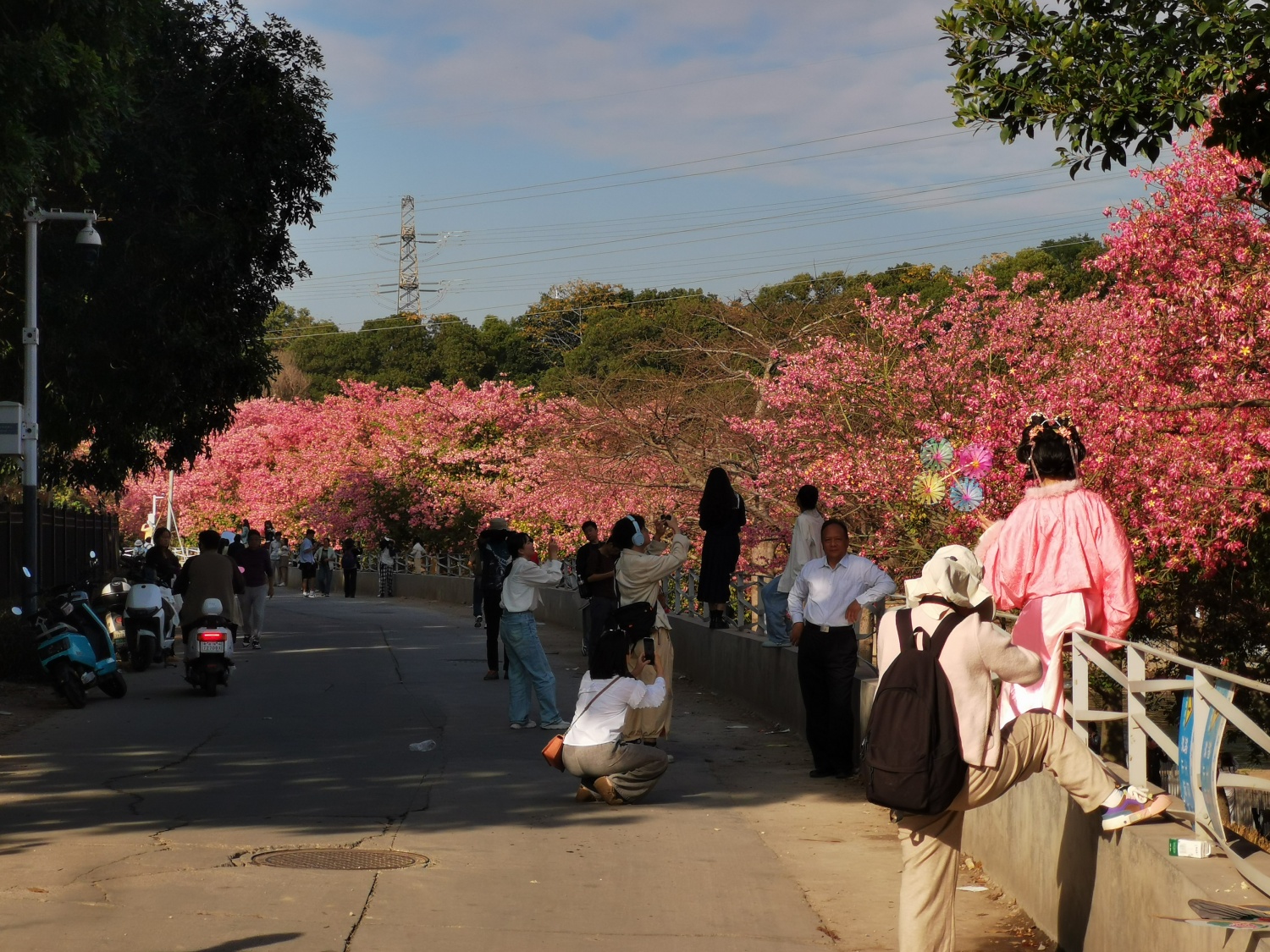 送外卖途中遇到的风景：真羡慕这些人，工作日不用上班，能够在这里悠闲的看花拍照，好