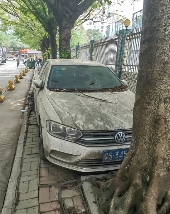 停在路边三年了，车主是上去了，还是下去了