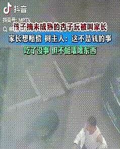 辽宁，孩子摘了一堆没熟的杏玩，被树主人抓住叫家长，家长本想赔偿了事，没想到却被树