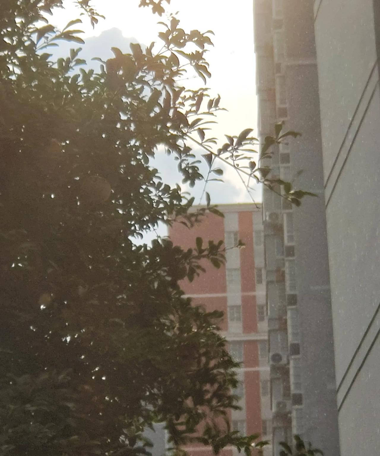 河南的这场雨终于要下了吗？外面天阴了，也起风了，像是下雨的前兆。天气预报最近几天