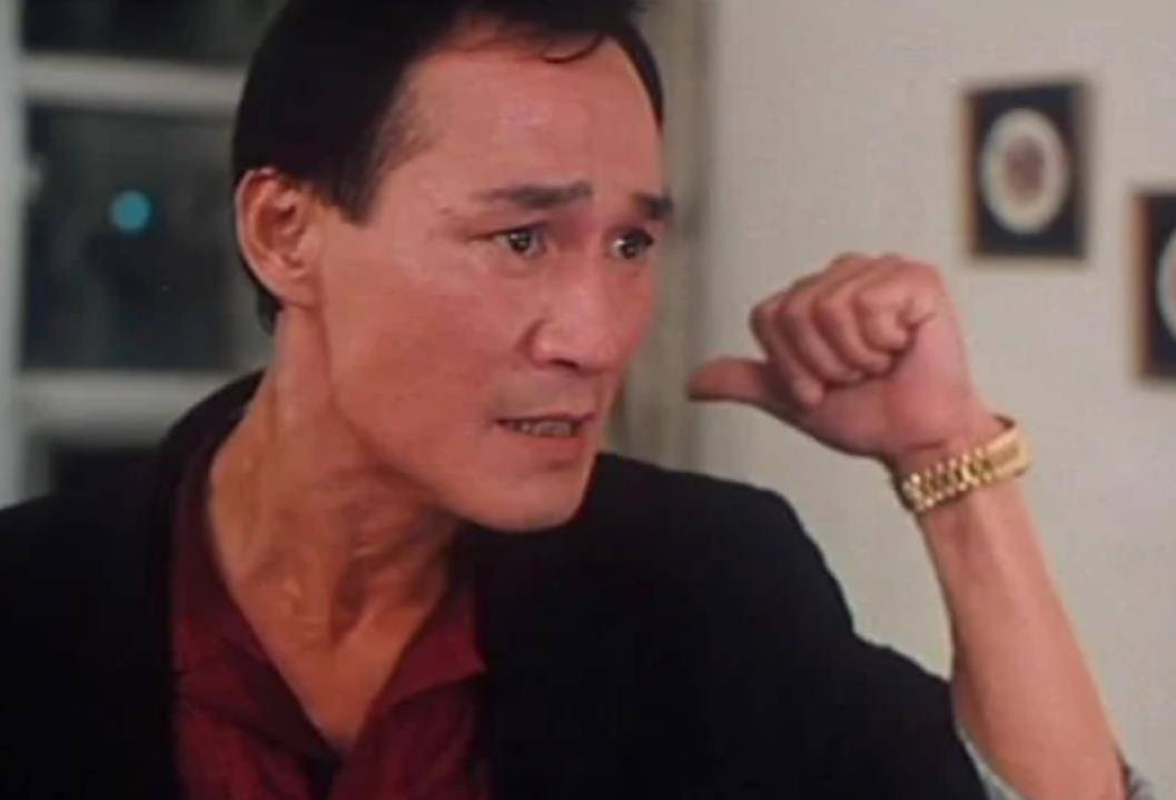 陈惠敏的江湖暮年: 从“双花红棍”到村屋隐士