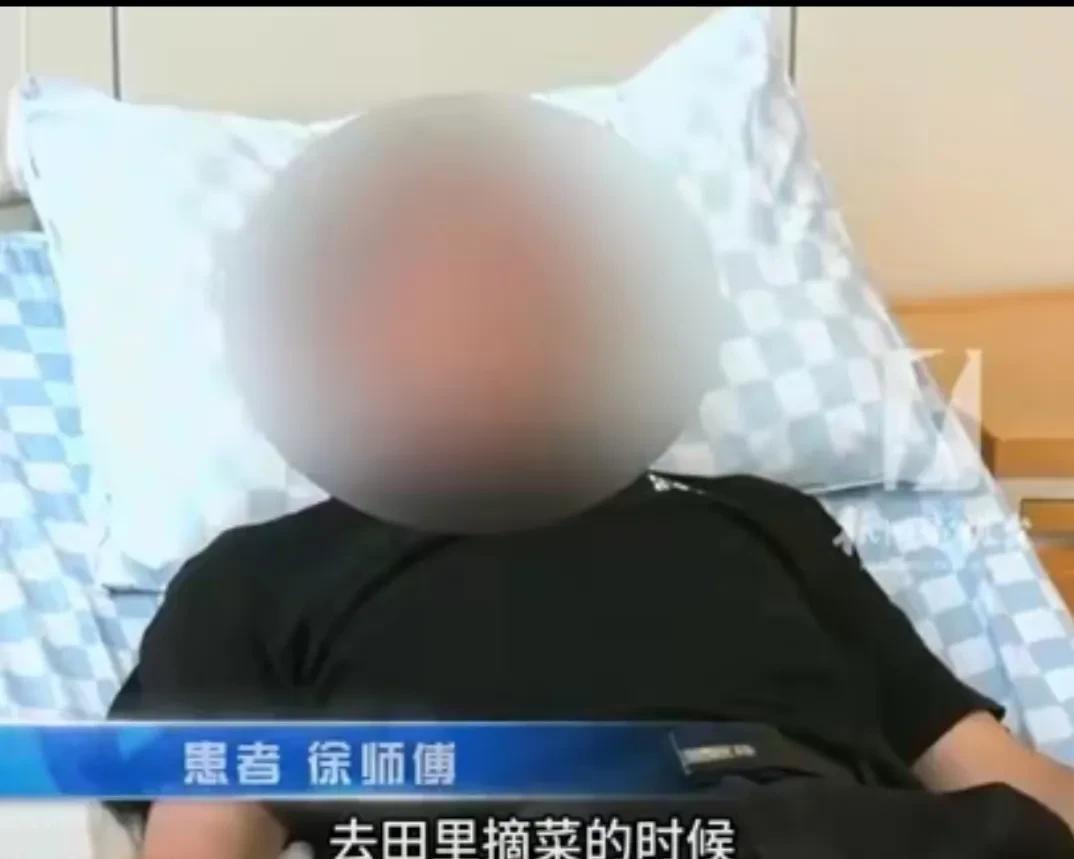 浙江69岁大爷被五步蛇咬伤：感觉“有毒”立马追蛇，一脚踩死后带去医院！
最终，得