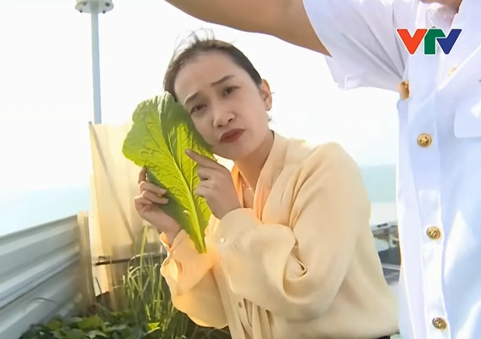 菜叶比脸大！越南媒体展示万安滩高脚屋，越军自给自足，坚决不走
2024年的时候，