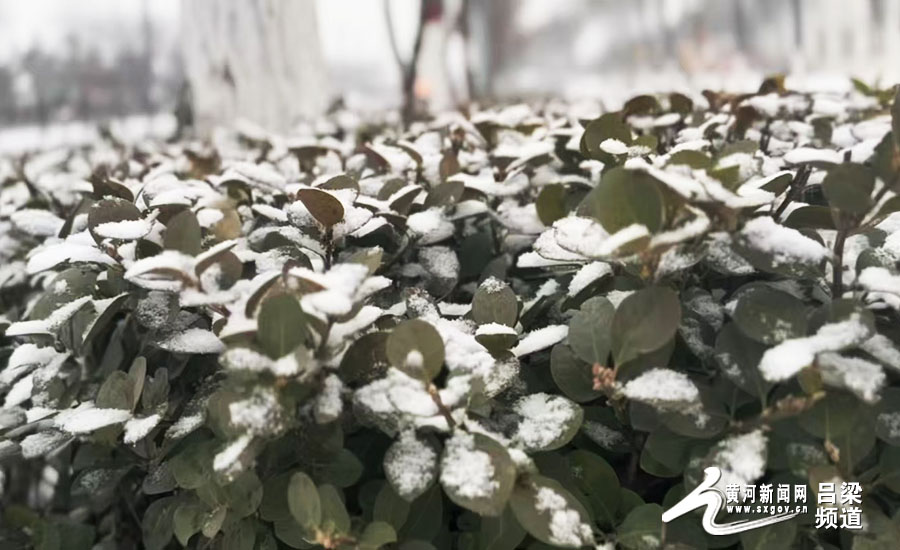 吕梁：雪落无声 美景入镜来