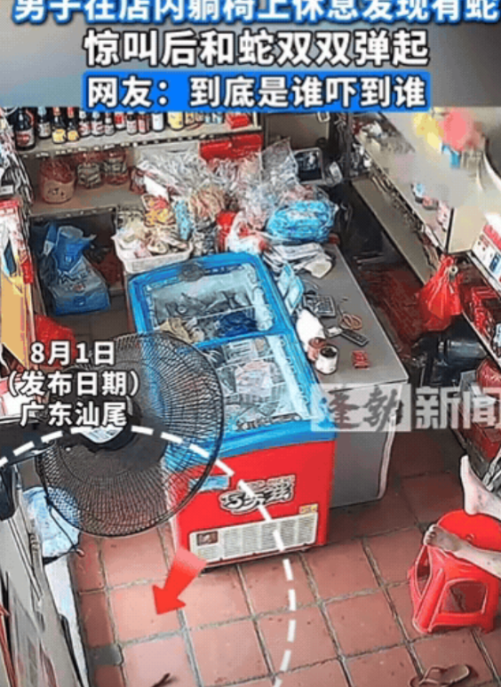 广东，男子正在店内休息，突然听到“嘶嘶”的声音，他下意识低头一看，吓得魂飞魄散，