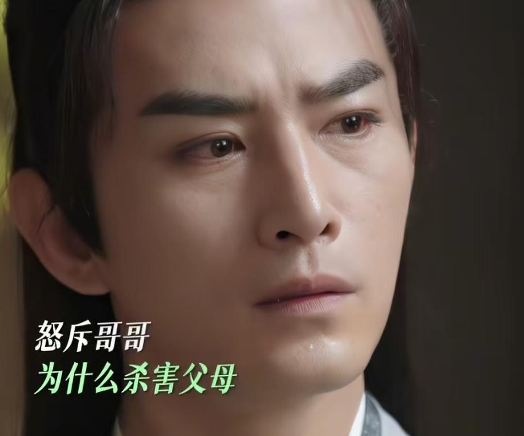 《赴山海》
萧秋水的二哥竟然是害死父母的凶手，萧秋水质问二哥为什么要这么做，二哥