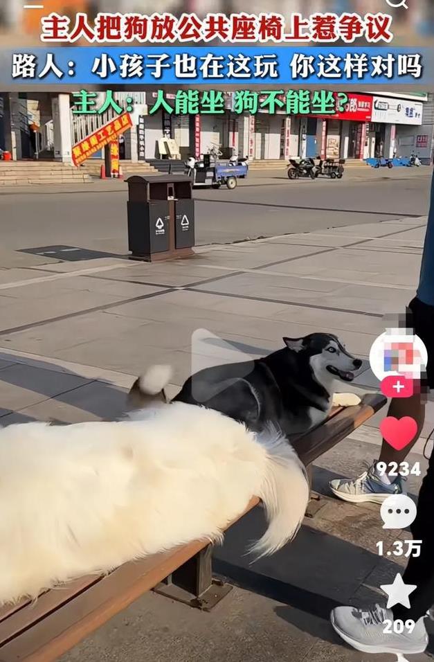 主人把狗放公共座椅上惹争议！
路人：这是人坐的，你怎么让狗坐上去了，小孩子也在这