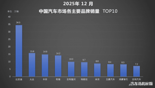比亚迪2025年包揽多维度销冠，全球化再下一城