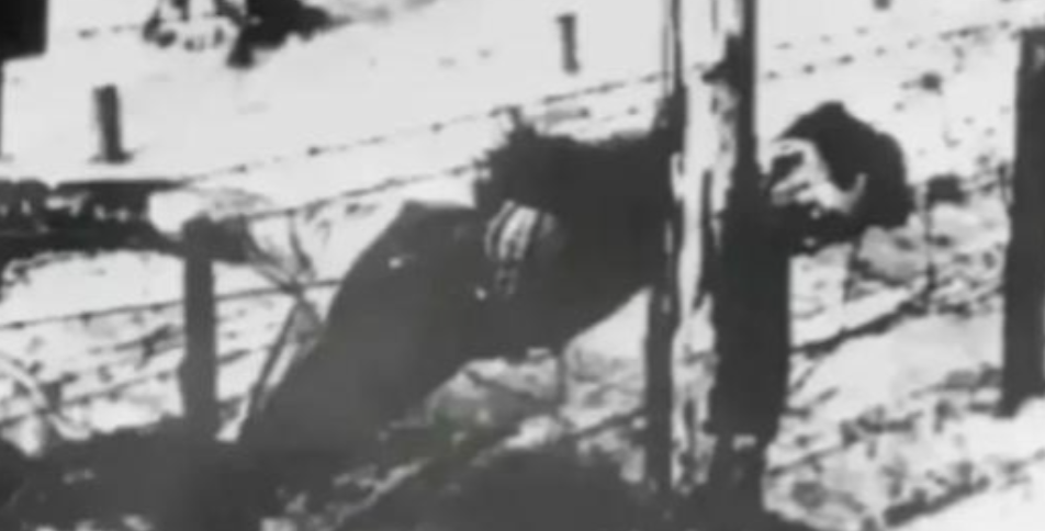 1943年4月14日，斯大林的儿子雅科夫趁德军不注意，一头扎向电网，却不幸被看守