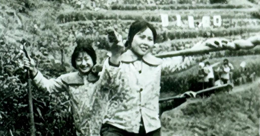 1969年，女知青何莲香到马家沟插队，被安排住进了一位寡妇家。与她同行的女知青低