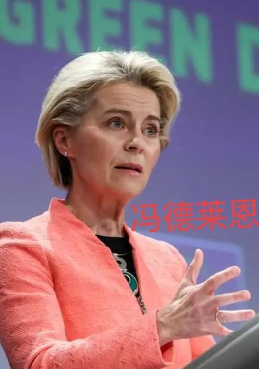 冯德莱恩，再见了！欧盟再次出手，必须换人
9月23日消息，欧洲议会的极右翼党团与