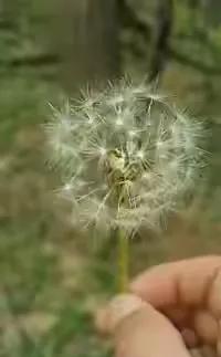 俄乌冲突让欧洲国家处在矛盾的旋涡中，俄罗斯赢了他们怕，输了更怕！
输赢之间，更倾