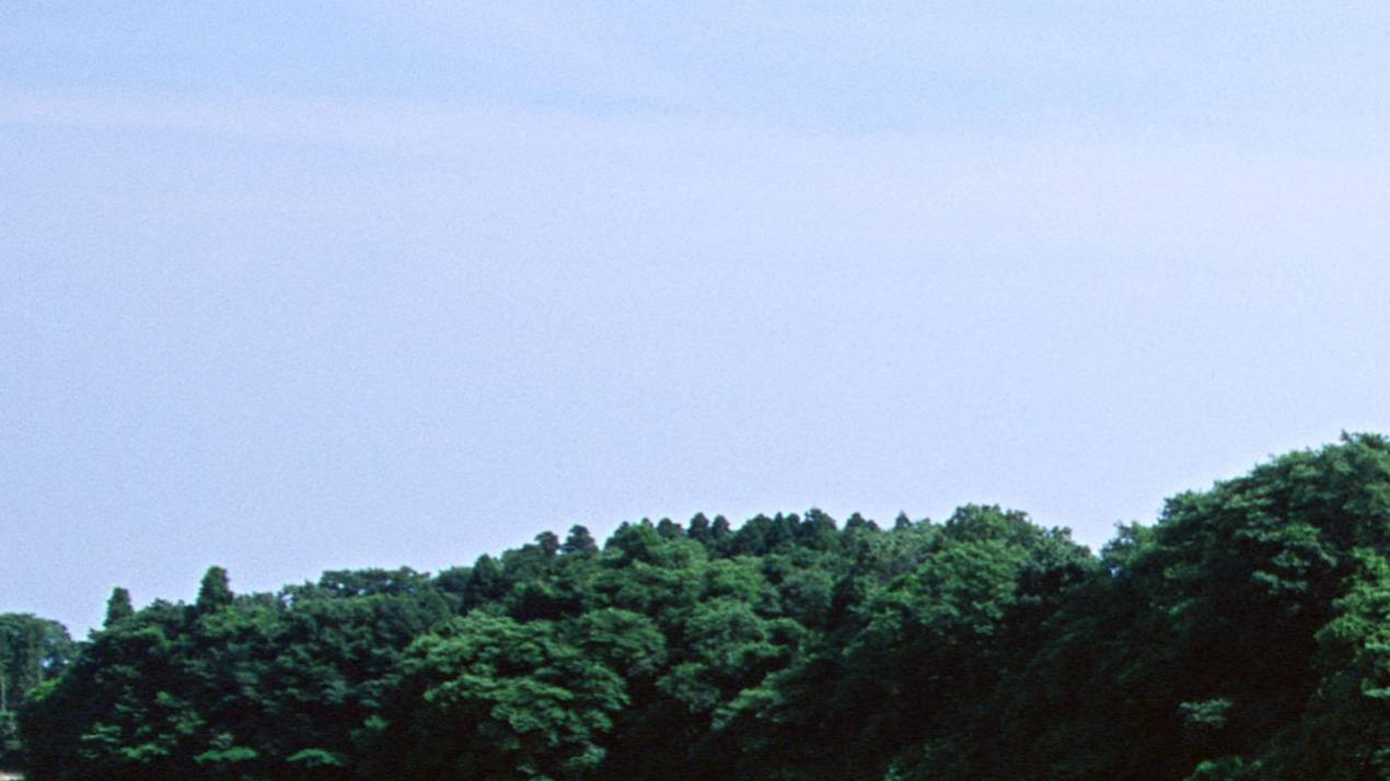 三周养护，配土秘诀，甘蔗田头，增甜有术