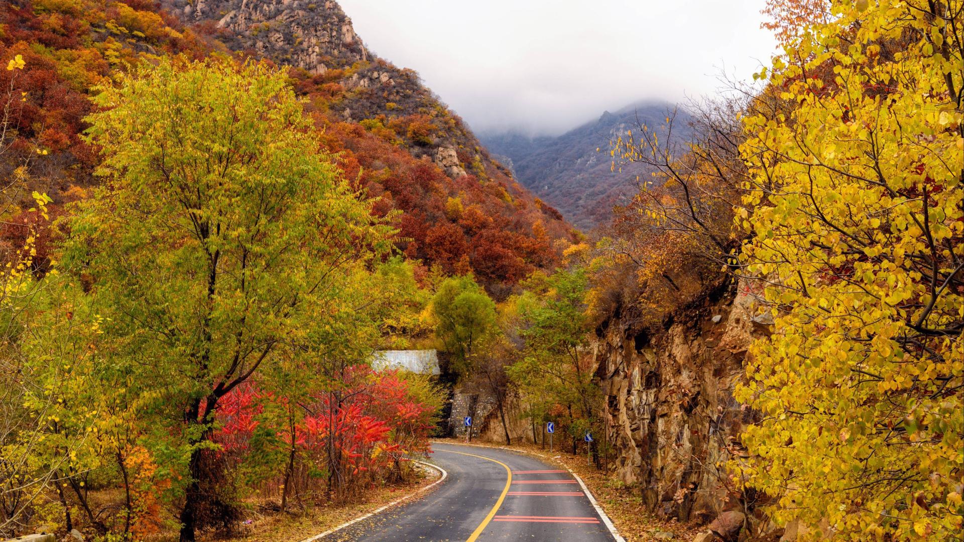 快速扩张后的心理失控： 匹配业务增速，稳住内心秩序