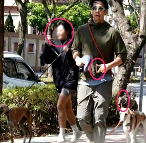 我终于知道了

原来彭于晏不早早不回应

是有原因的

原本一直觉得

现在才开