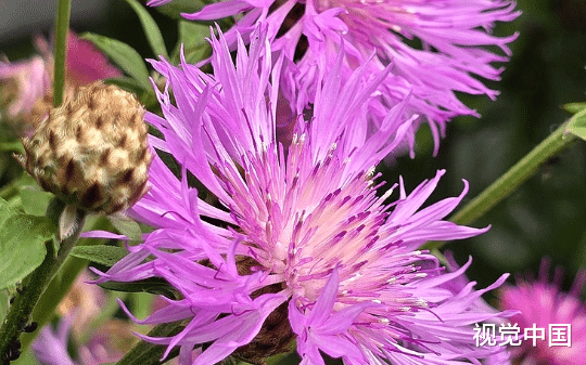 未婚夫出差一个月娶了自己的学生，我成了二房