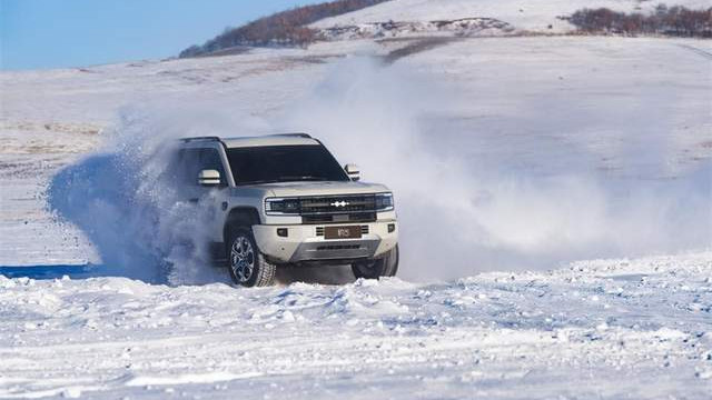 “姚十八”侵权比亚迪方程豹案宣判，被判赔偿201万元