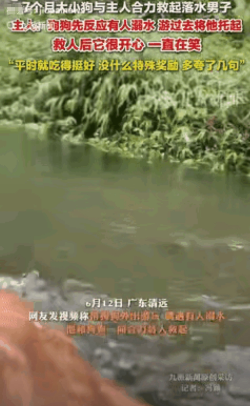 “万物皆有灵！”广东清远，情侣带狗去河边玩耍，突然听到河里有呼救声，一看一男孩正