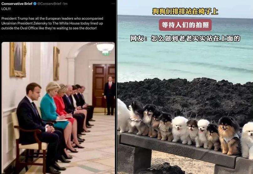 这照片拍得不错，一帮领导人在特朗普面前就像犯了错的小弟一样！[捂脸]
不过说是小