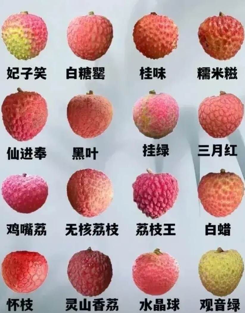贵了不舍得吃，便宜了又不敢吃！5块9一斤的妃子笑，今年荔枝为什么这么便宜了？
