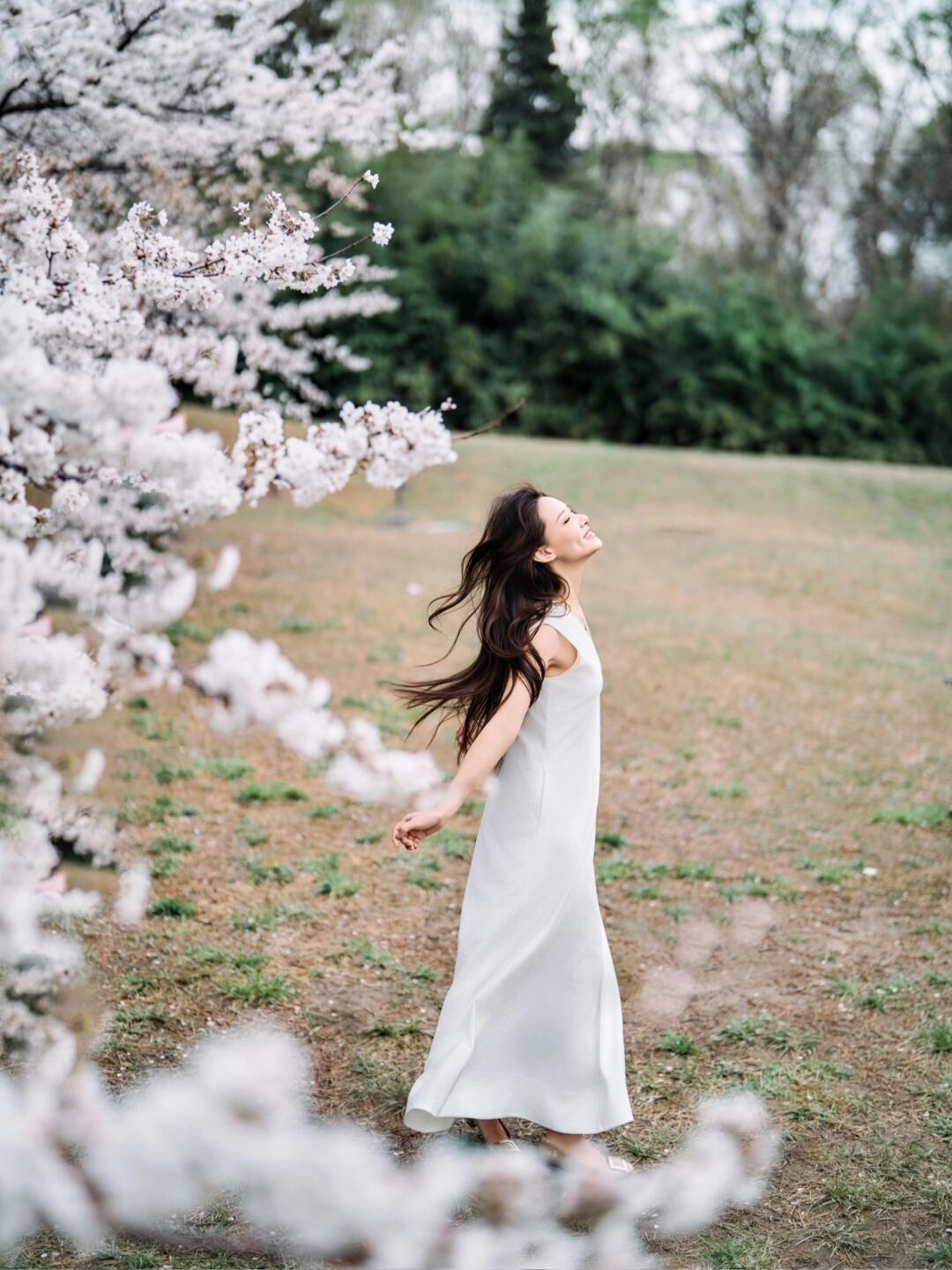 在满树樱花开的地方～🌸