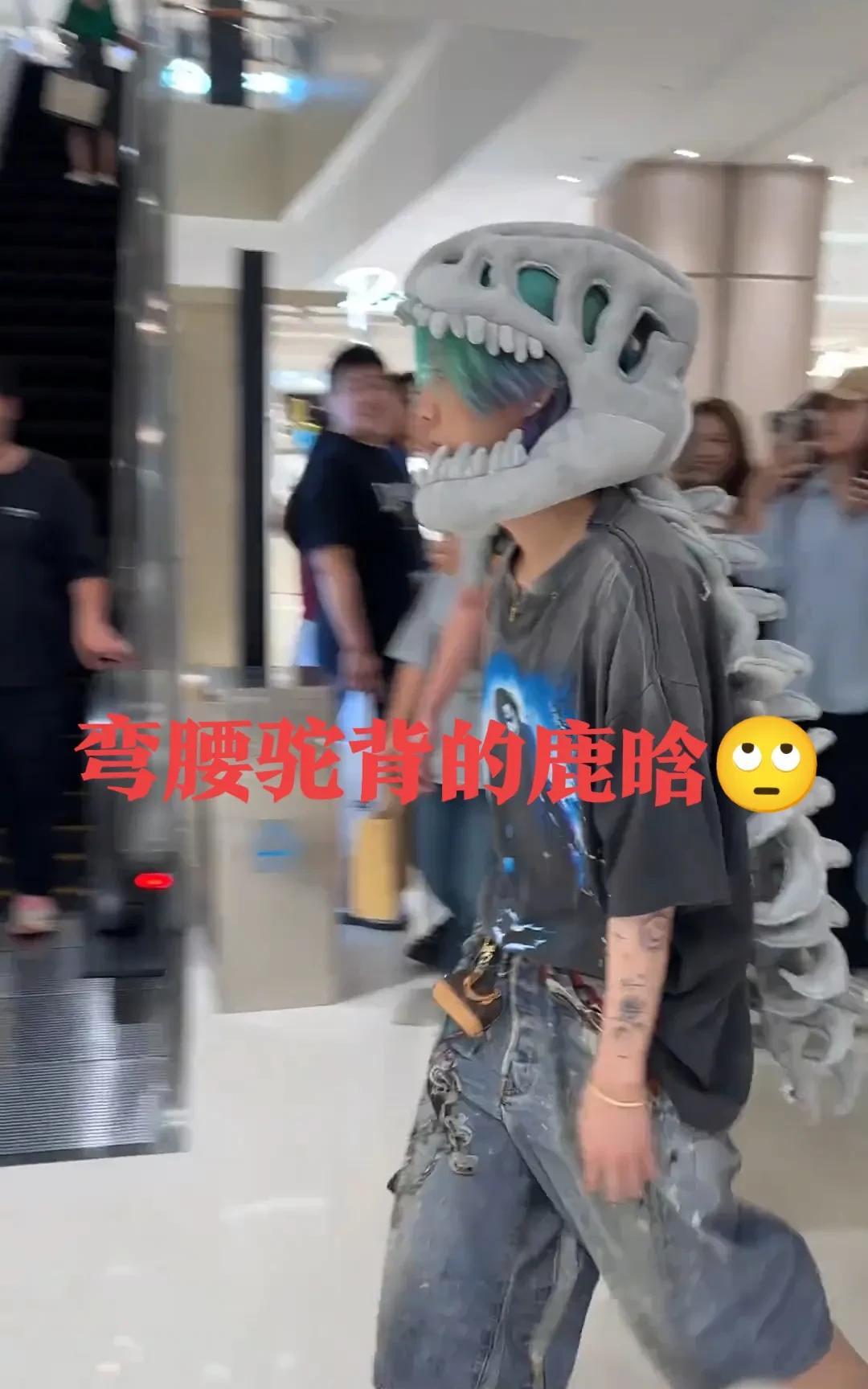 鹿晗弯腰驼背的，套着恐龙就就出来了[憨笑]这打扮， 妥妥的叛逆中年[流泪]
他真