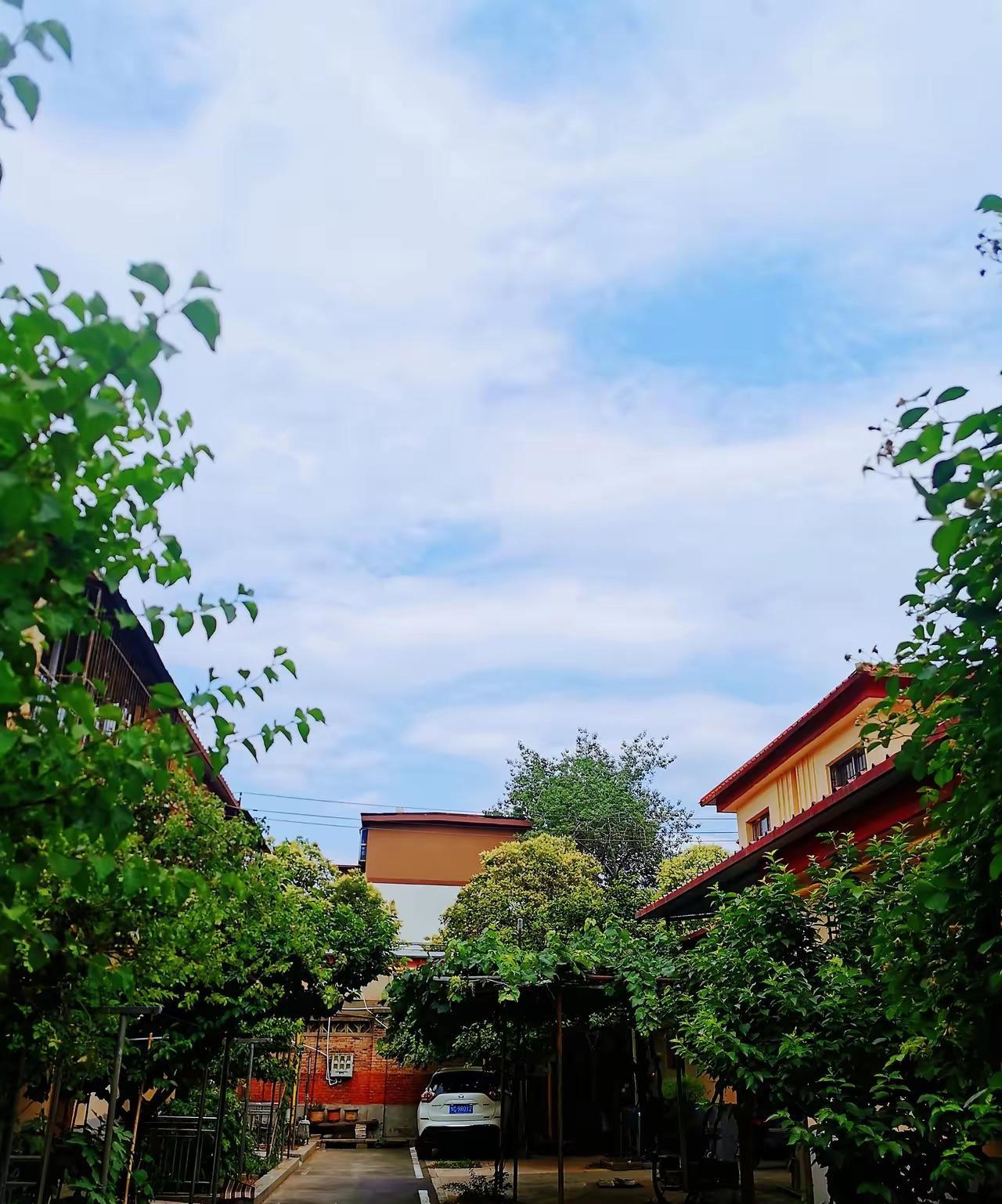 今天6月6号，老话说“六六大顺”，这日子简直是好运开挂日！赶紧接住这波全方位的好
