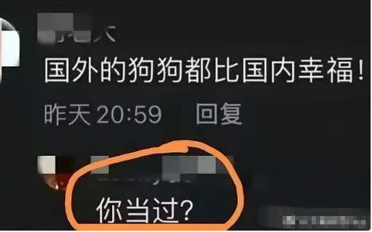 你当过？
这么聊天，他估计没法往下接了…… ​​​