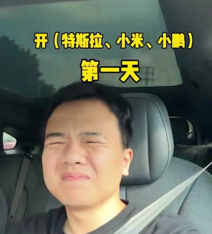 开特斯拉，小鹏，小米汽车在广东晒不黑你，算我输！不知道全景玻璃车顶有什么用？大夏