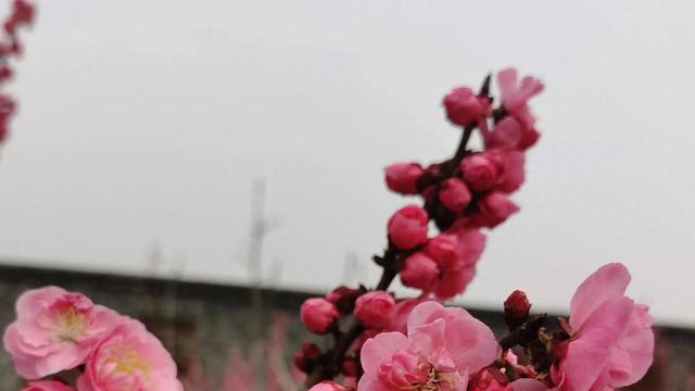 退休后的生活智慧：交友贵精不贵多，我找到了幸福的真谛