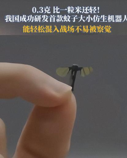 风向已经变了，国内再次宣布重磅消息，这回算是直接把欧洲在内的美国，以及西方日本，