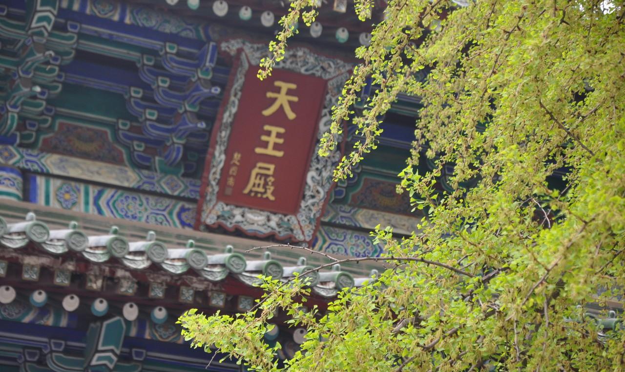 宋、金时期的少林寺，仍保持了一定的规模。当时寺院还拥有较广大的土地与山林，基本上