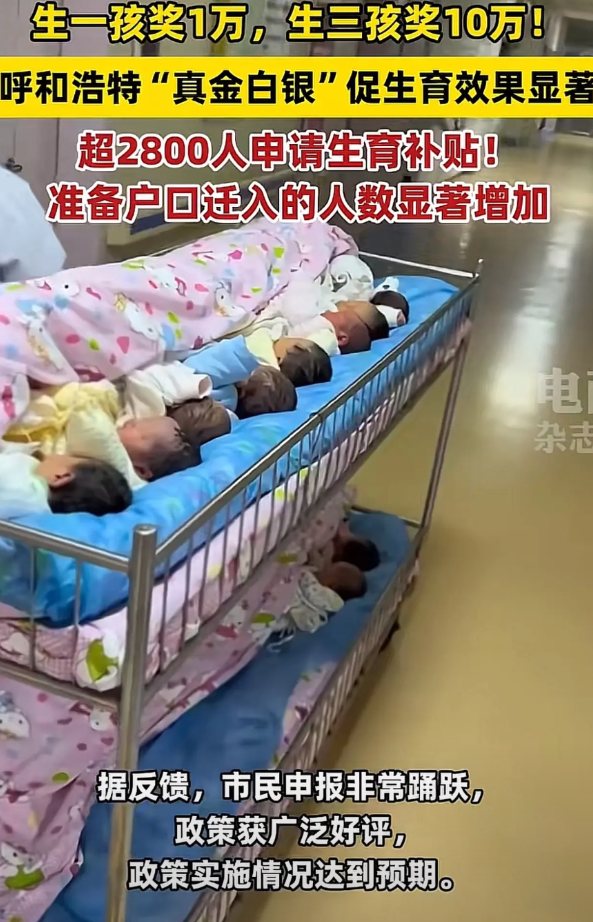 生一娃奖励1万，
生三娃奖励10万，
呼和浩特“真金白银”促生育！

政策推出后