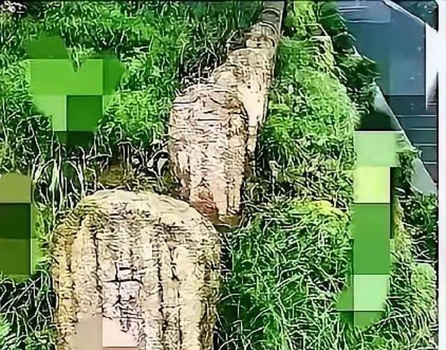 这下好了，腾冲又一次把日本拒绝了。
腾冲战役是抗日战争后期滇西缅北战场上的一场关