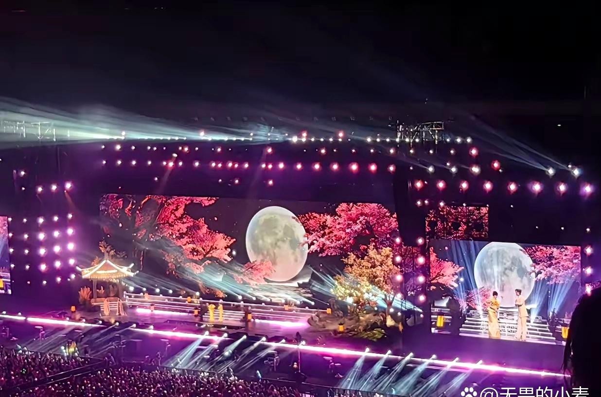 我以为赵雅芝和叶童是缺钱了，来开演唱会，
我还以为她们是寂寞了，来开演唱会，
万