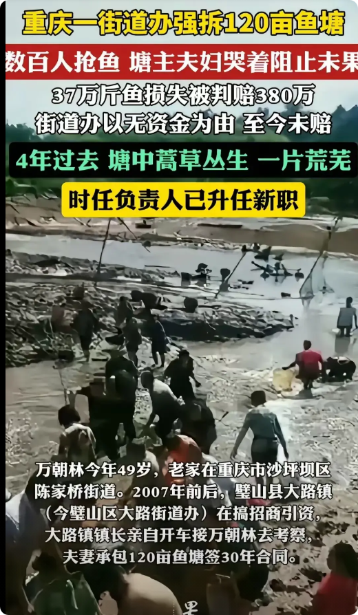 当初街道办仅凭水质不达标这一理由，就强拆了万某夫妇承包十多年的120亩鱼塘。法院