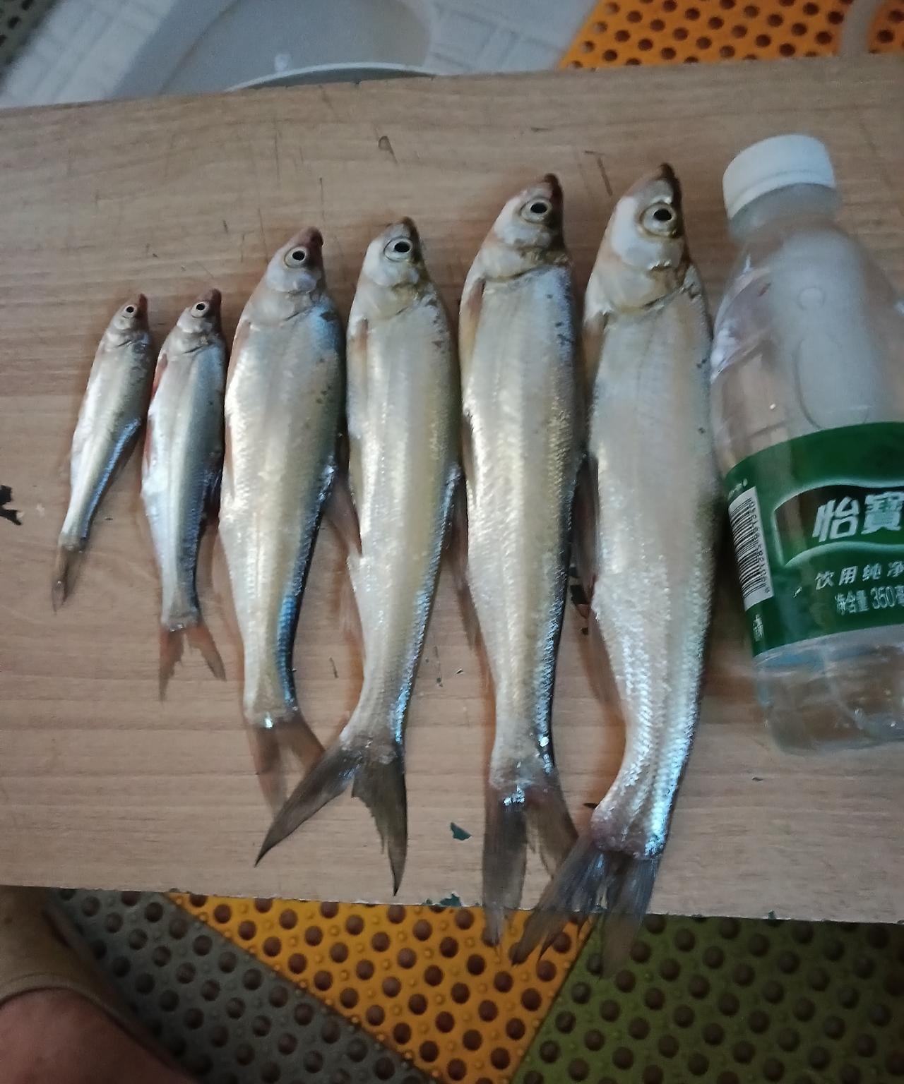 5点55分到钓场，即湖北省荆州市沙市区锣场镇向湖村之无名渠，一条长约1公里，宽约