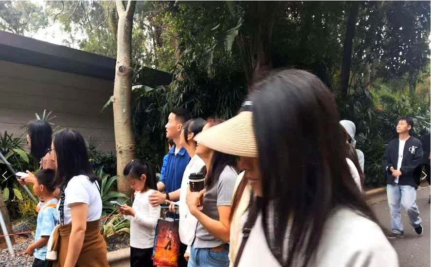 谢浩男清明节回到深圳，陪亲妈与妹妹一起游玩，没有想到这个举动，也会引来争议！
