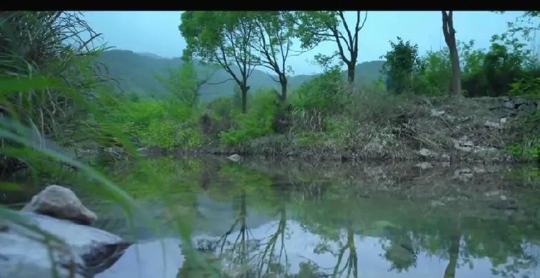 10.《长安的荔枝》。阿僮的荔枝园被乱砍滥伐，损失惨重。她痛心疾首，才相信了闫雅