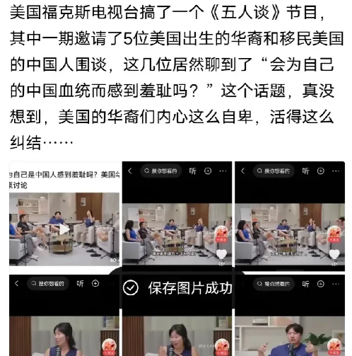 终于明白美国华人地位低了，看看这些美国华裔都在怎么贬低和否认自己的血统，华人都这