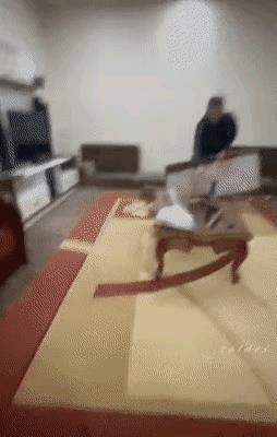 不跑也许还有一线生机[石化]