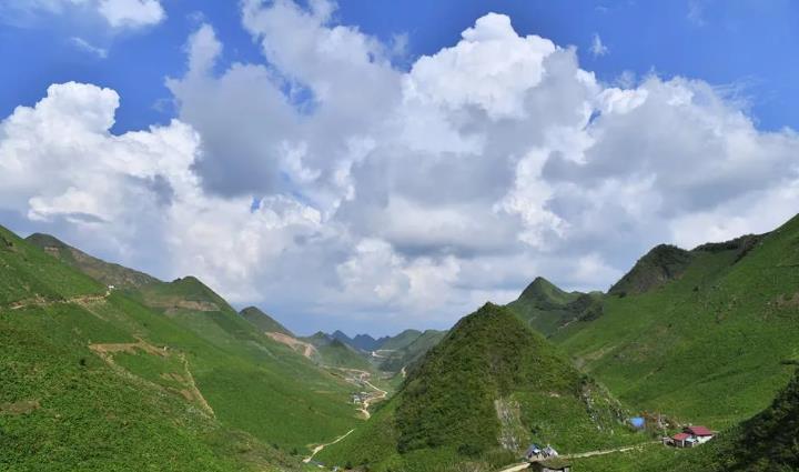 公元816年盛夏，秦岭古道上，一匹快马驮着开州雪宝山的车前草奔向长安。宰相韦处厚