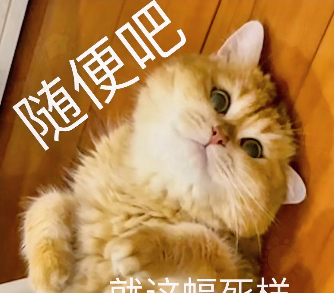 家人们，真的想放弃了！
我勤勤恳恳更新，情感的、娱乐的、社会的内容，各种类型都试
