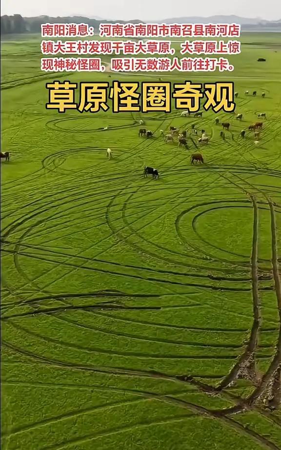 亲，有时间你也来看看呗？
