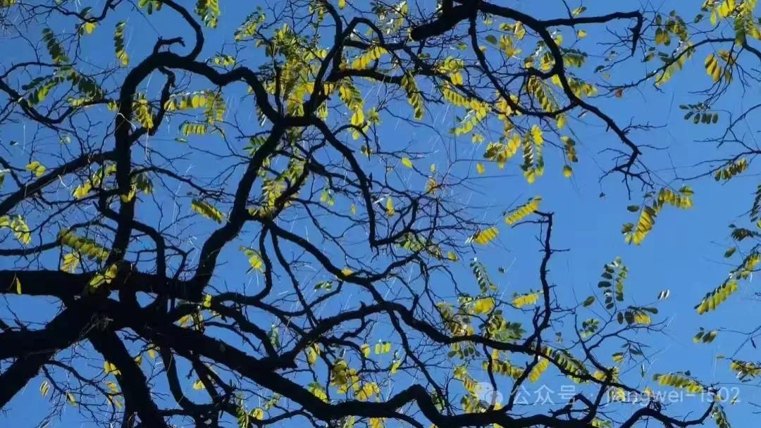 真硬核、真亮剑！有感于江西天价处罚“1·24特大火灾事故”责任单位和人员