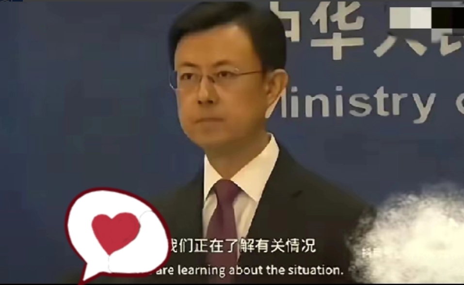 家人们！强烈建议你们没事多刷外交部发言，那应对水平真的绝到让人拍案叫绝！

不光